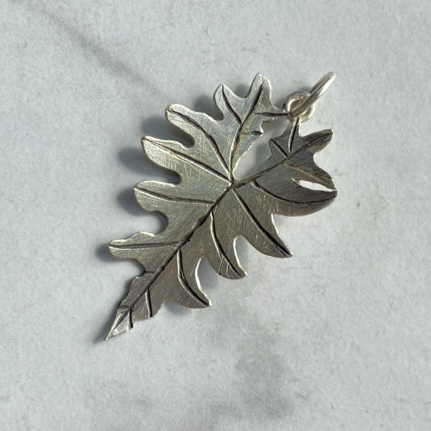 Alocasia ‘Jacklyn’ Leaf Pendant
