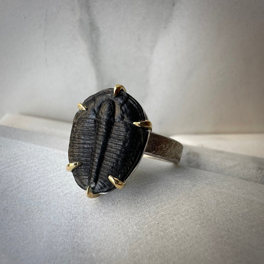 Trilobite Ring in Sterling Silver and 18k Yellow Gold