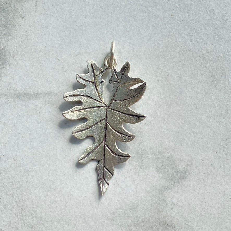 Alocasia ‘Jacklyn’ Leaf Pendant